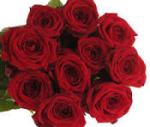 Rose (P) RED NAOMI